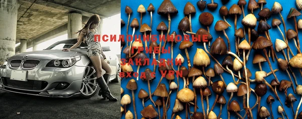 PSILOCYBIN Володарск