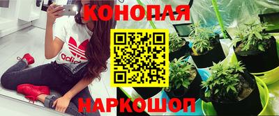 каннабис Дубна