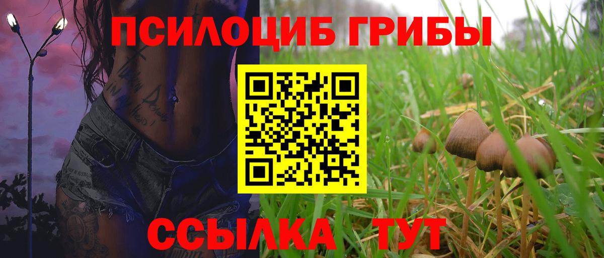 Галлюциногенные грибы Psilocybine cubensis  купить закладку  Лысьва 