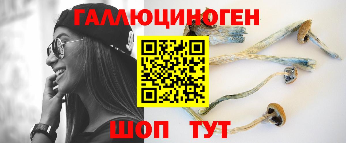 Псилоцибиновые грибы Psilocybine cubensis  Вход с VPN  Лысьва  Галлюциногенные грибы Cubensis 
